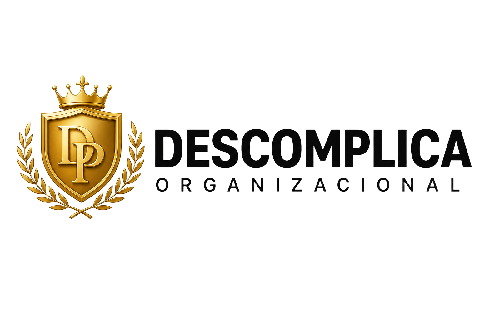 Descomplica Organizacional